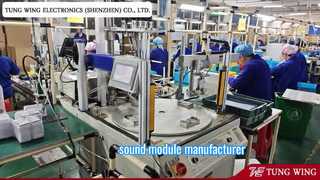 Professionele fabrikant van geluidsboeken